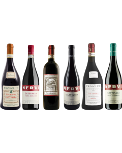 Piemonte Gattinara premium proefkoffer