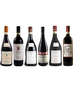 Piemonte Gattinara premium proefkoffer