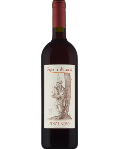 Pojer e Sandri Pinot Nero 2024