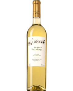 San Pedro de Yacochuya Torrontes 2022