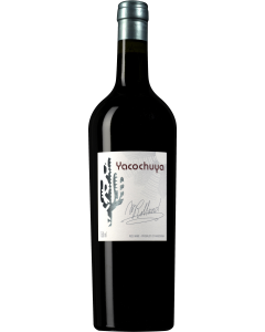 San Pedro de Yacochuya Yacochuya 2017