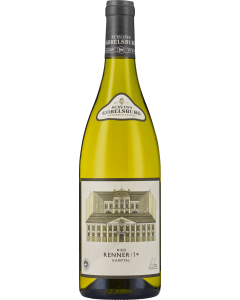 Schloss Gobelsburg Ried Renner Erste Lage Gruner Veltliner 2023