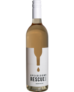Upsidedown Rescue Rose 2024 