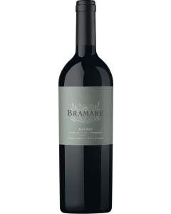 Vina Cobos Bramare Lujan de Cuyo Malbec 2022