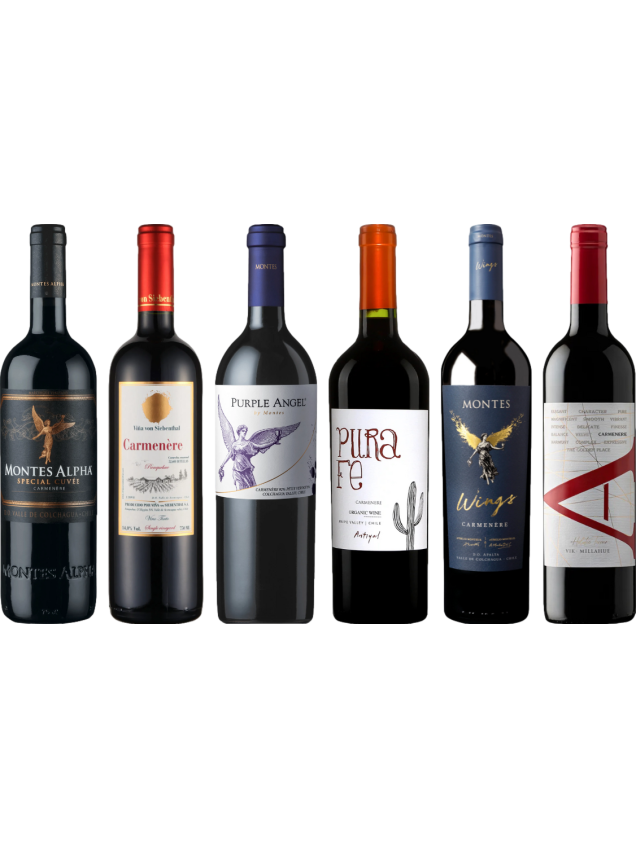 Carmenere proefkoffer