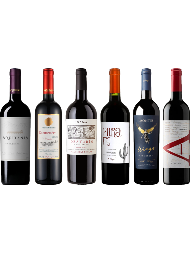 Carmenere proefkoffer