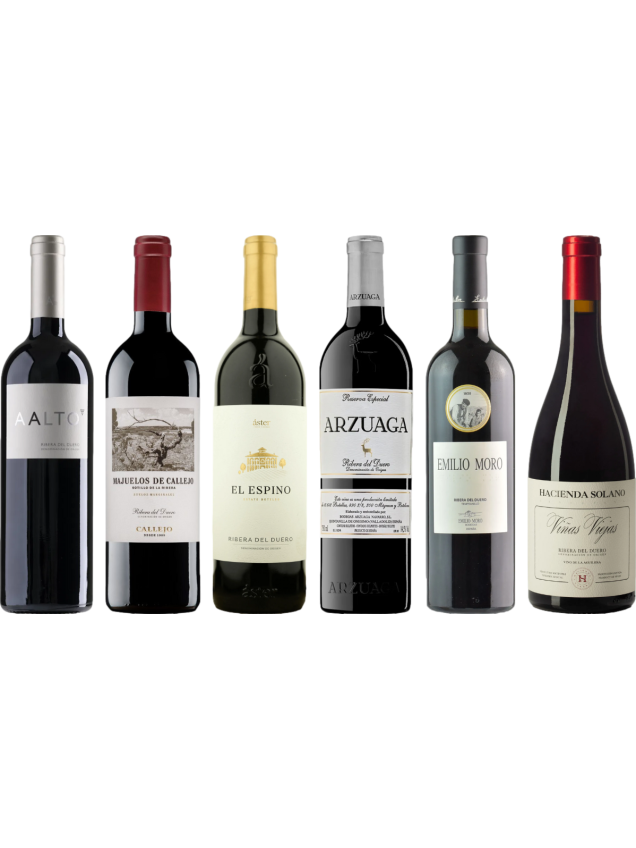 Ribera del Duero Premium Proefkoffer