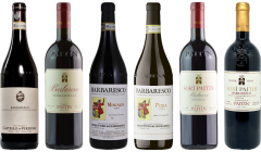 Barbaresco Premium Proefkoffer