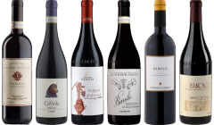 Topwaarde Barolo Proefkoffer