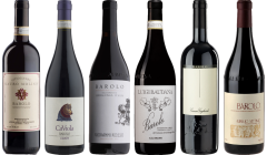 Topwaarde Barolo Proefkoffer