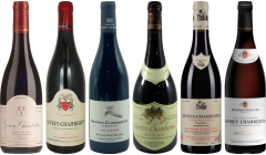 Gevrey Chambertin Proefkoffer