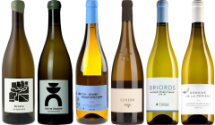 Muscadet Premium Proefkoffer