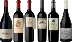 Argentijnse Malbec Premium Proefkoffer