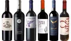 Carmenere proefkoffer