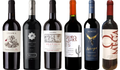 Carmenere proefkoffer