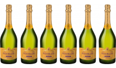 Saint Hilaire Blanquette de Limoux 6 Flessen Geval