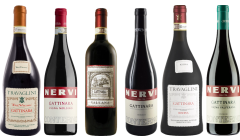 Piemonte Gattinara premium proefkoffer