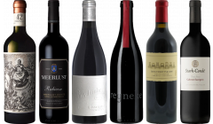 South African Red Wine Premium Tasting Case