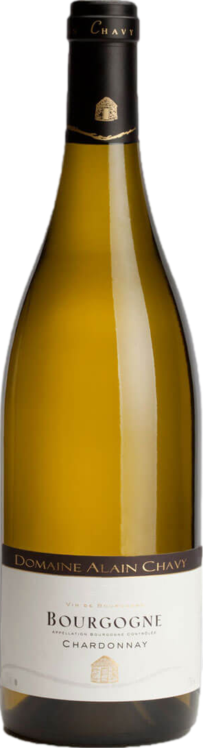 Domaine Alain Chavy Bourgogne Chardonnay 2023 afbeelding