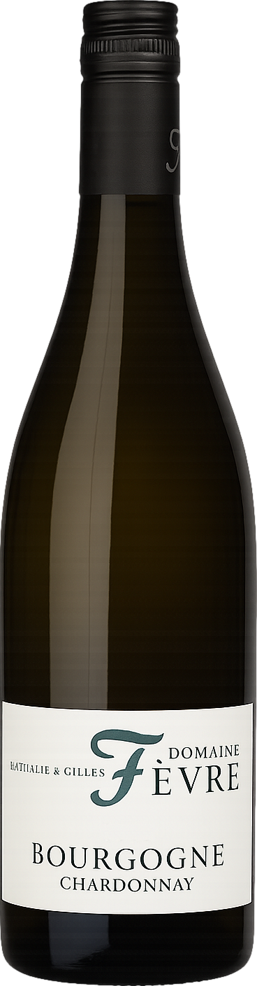 Domaine Nathalie & Gilles Fevre Bourgogne Chardonnay 2023 afbeelding 1