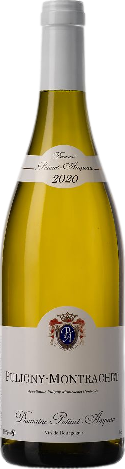 Domaine Potinet-Ampeau Puligny-Montrachet 2020 afbeelding