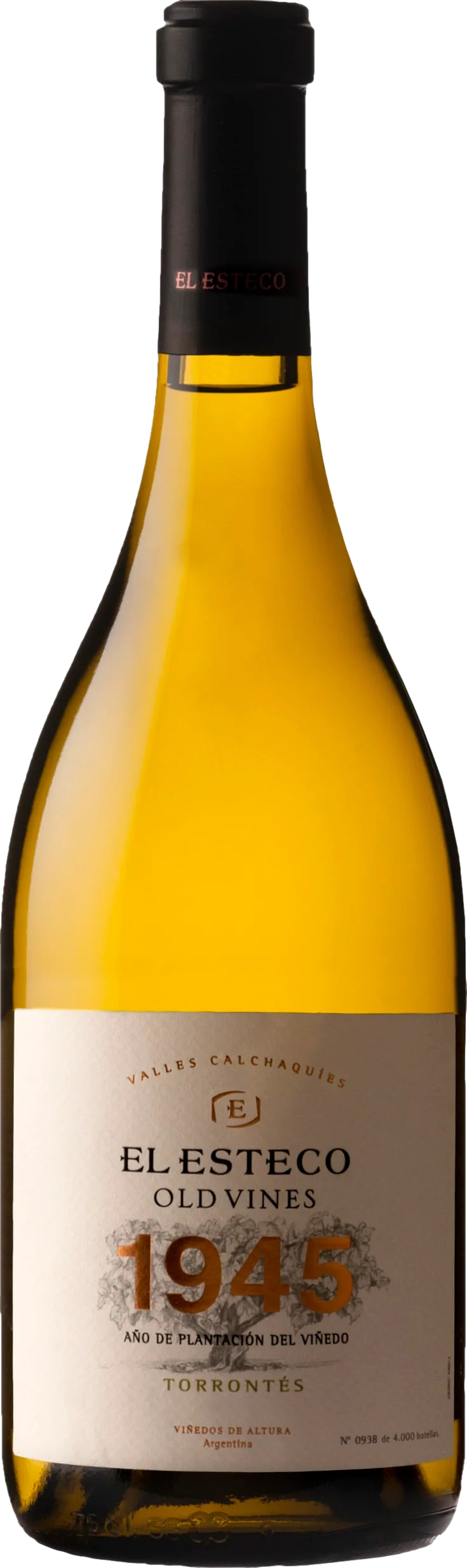 El Esteco Old Vines Torrontes 2023 afbeelding