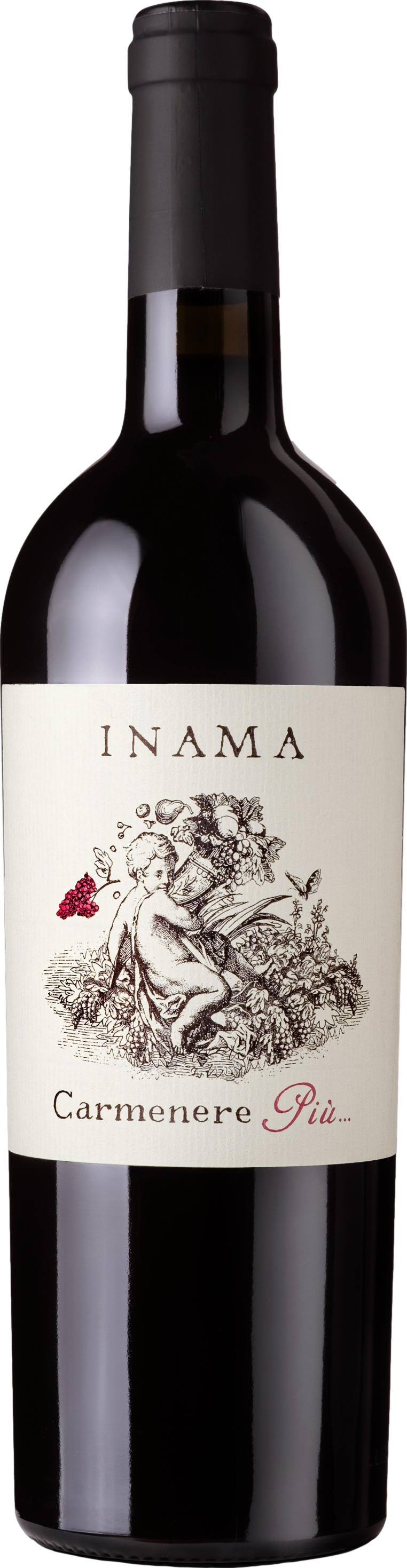 Inama Carmenere Piu 2023 afbeelding