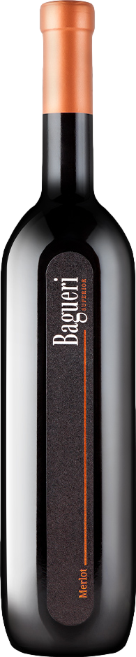 Klet Brda Bagueri Merlot 2020 afbeelding