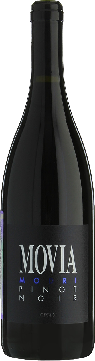 Movia Modri Pinot Noir 2023 afbeelding