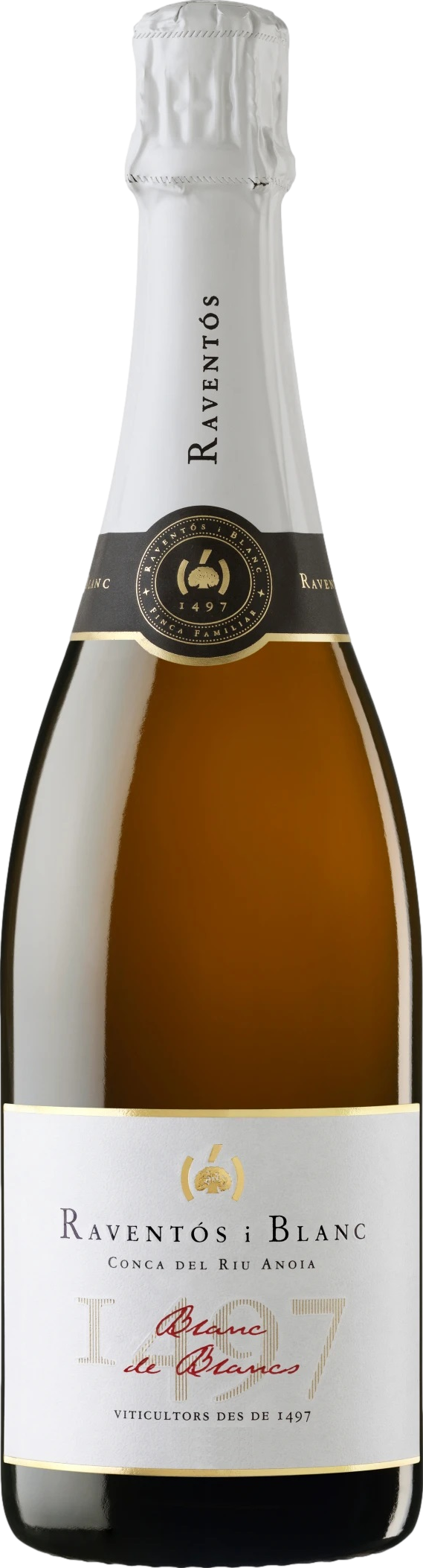 Raventos I Blanc Blanc de Blancs 2023 afbeelding