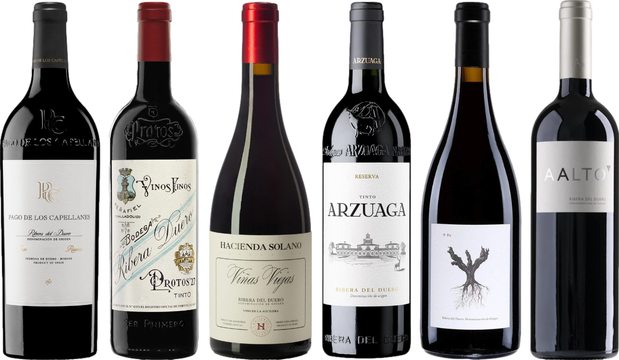 Ribera del Duero Premium Proefkoffer afbeelding 1