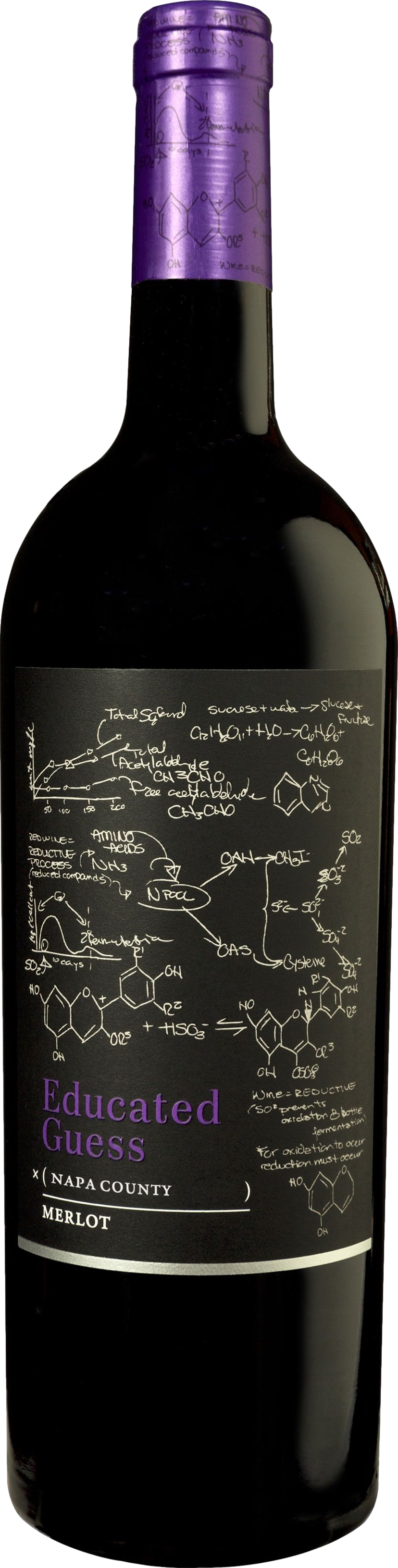 Roots Run Deep Educated Guess Merlot 2023 afbeelding