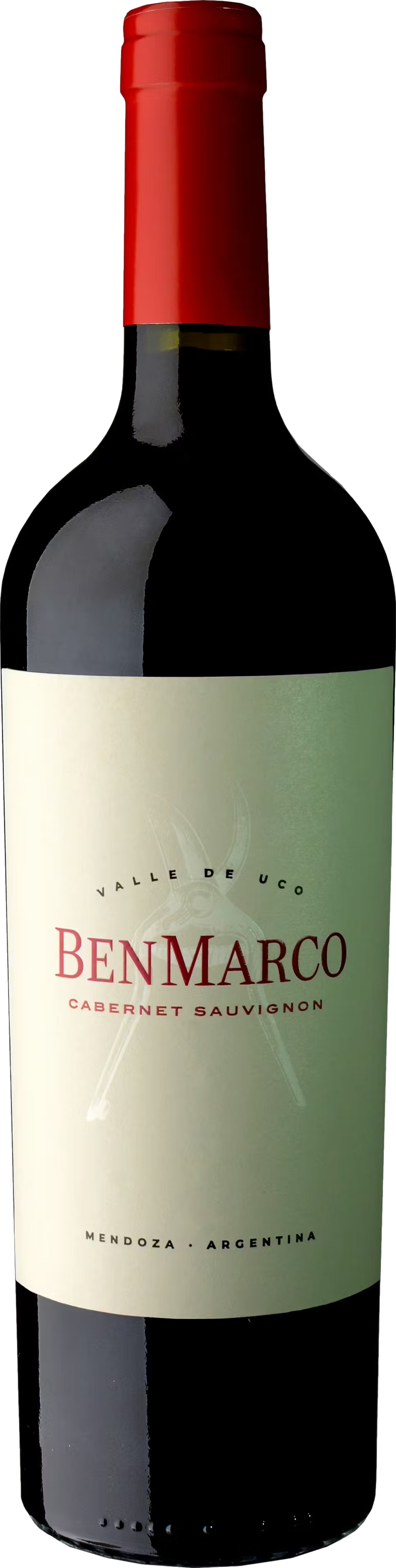 Susana Balbo BenMarco Cabernet Sauvignon 2021 afbeelding