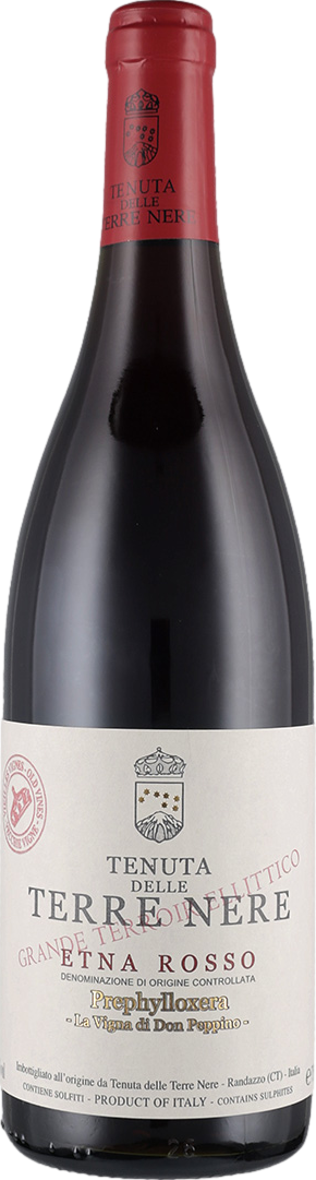 Tenuta delle Terre Nere Etna Rosso Prephylloxera Don Peppino 2023 afbeelding