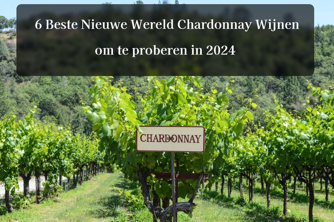 6 Beste Nieuwe Wereld Chardonnay Wijnen om te proberen in 2024