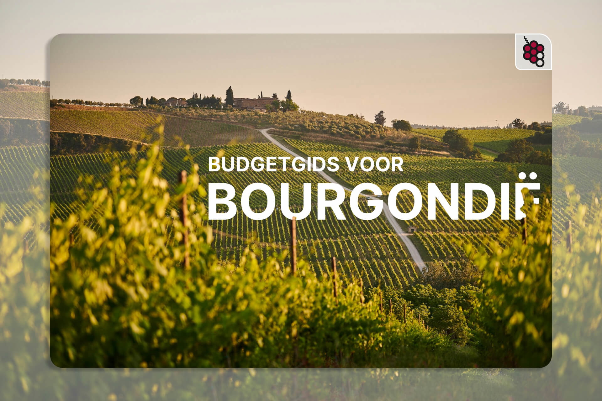 Een gids voor Bourgondië: hoe je goedkope wijnen kunt vinden