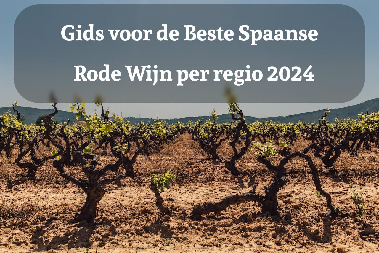 Gids voor de Beste Spaanse Rode Wijn uit elke regio 2024