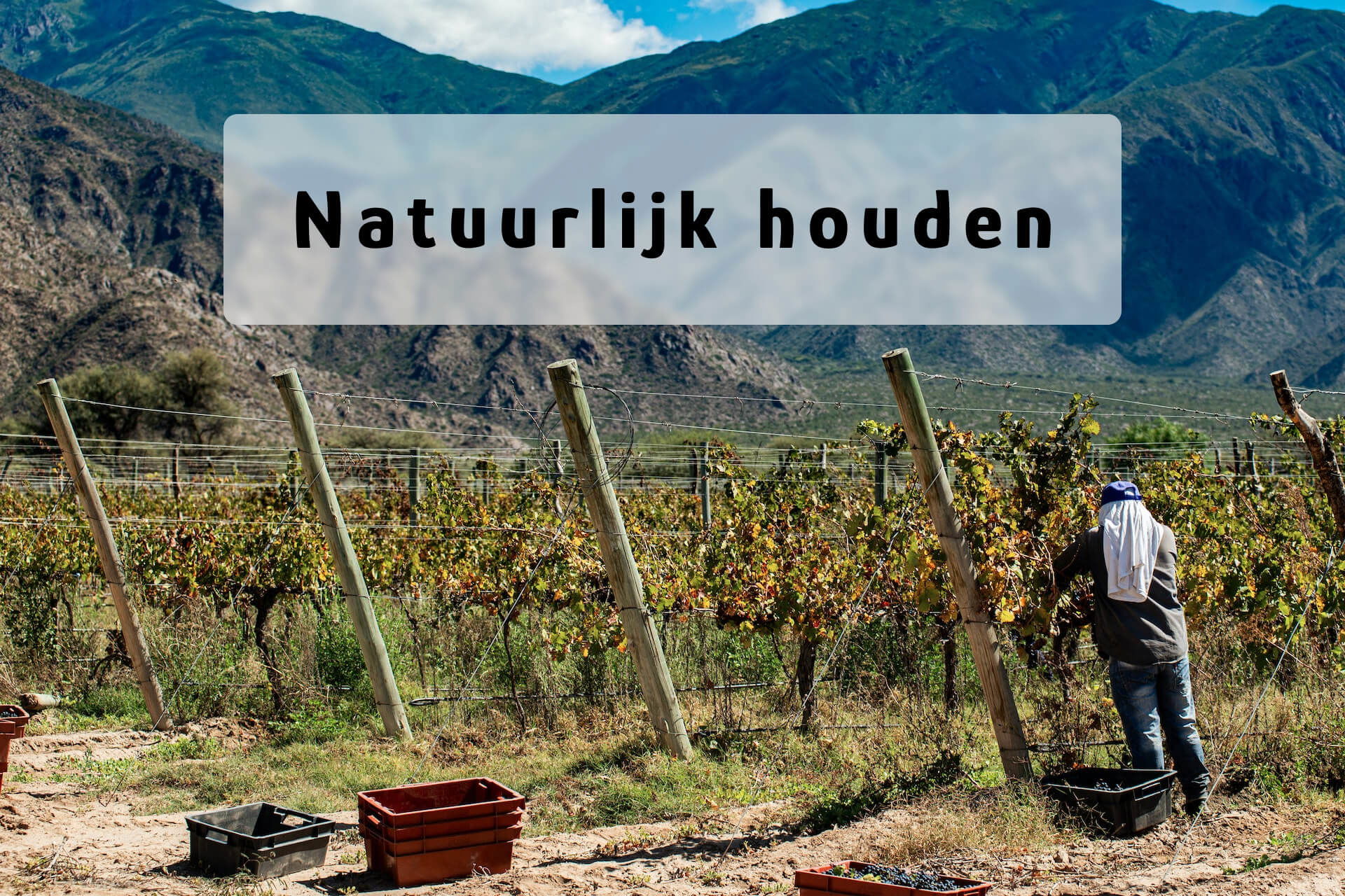 Natuurlijk houden