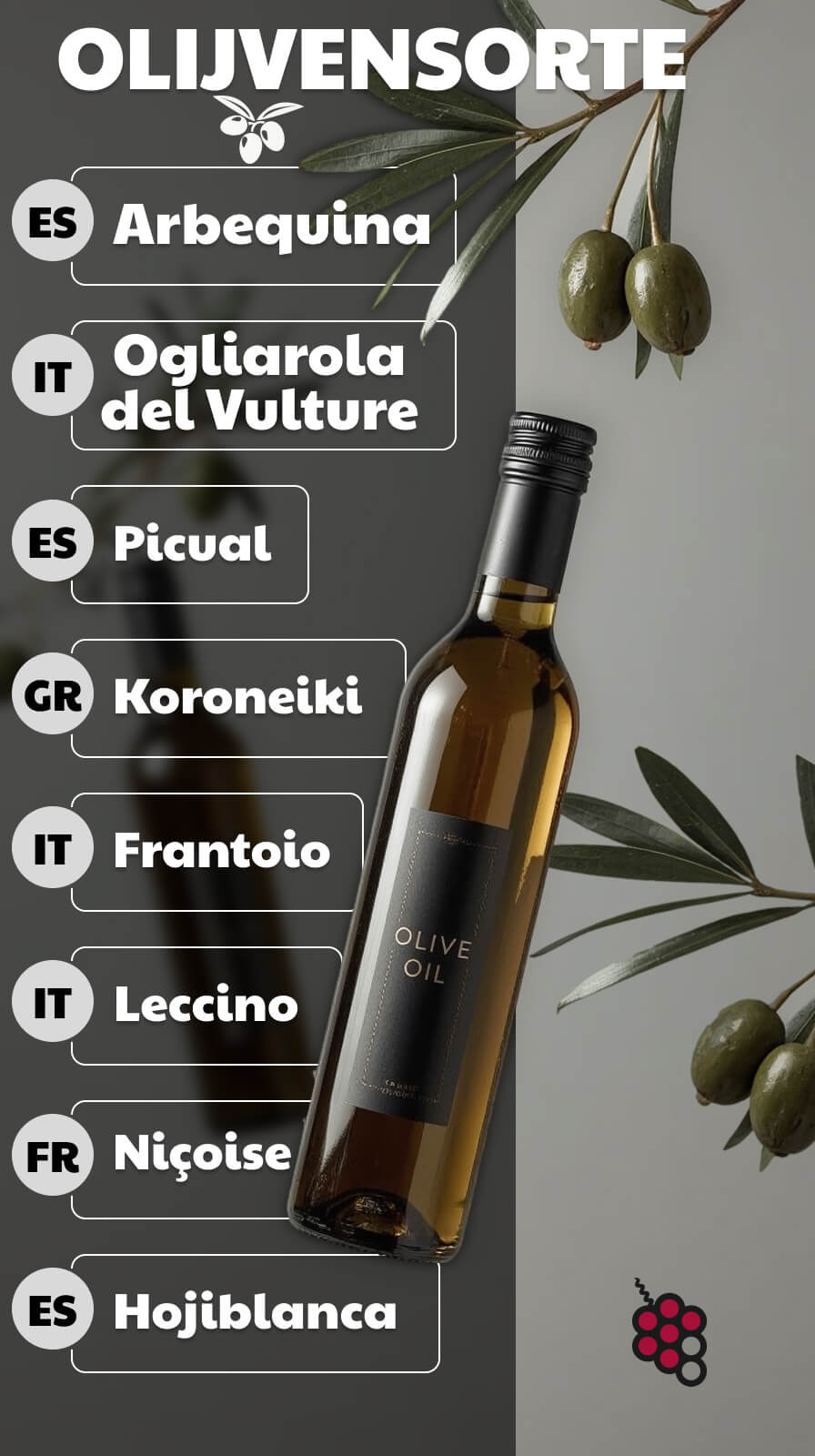 OLIJVENSORTE