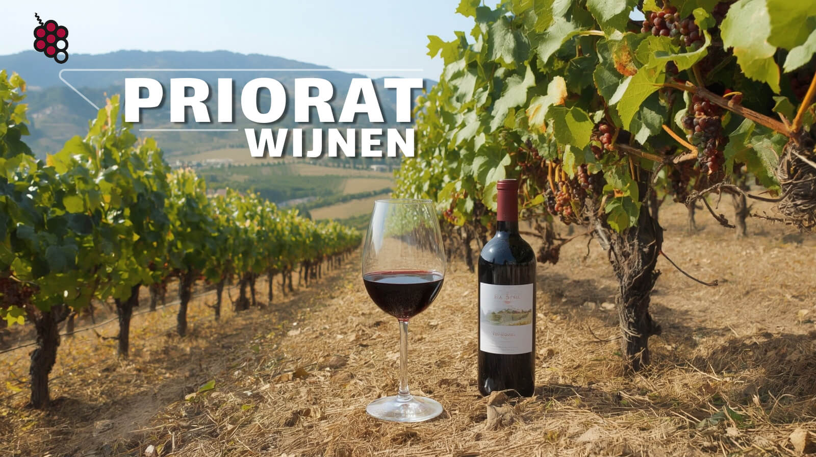 Priorat-wijnen: van oude kloostertraditie tot moderne heropleving