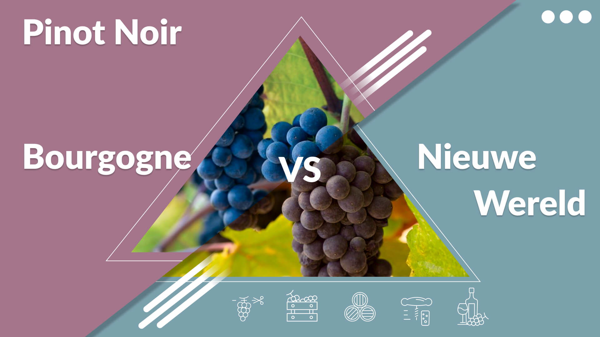 Bourgogne vs. Pinot Noir uit de Nieuwe Wereld