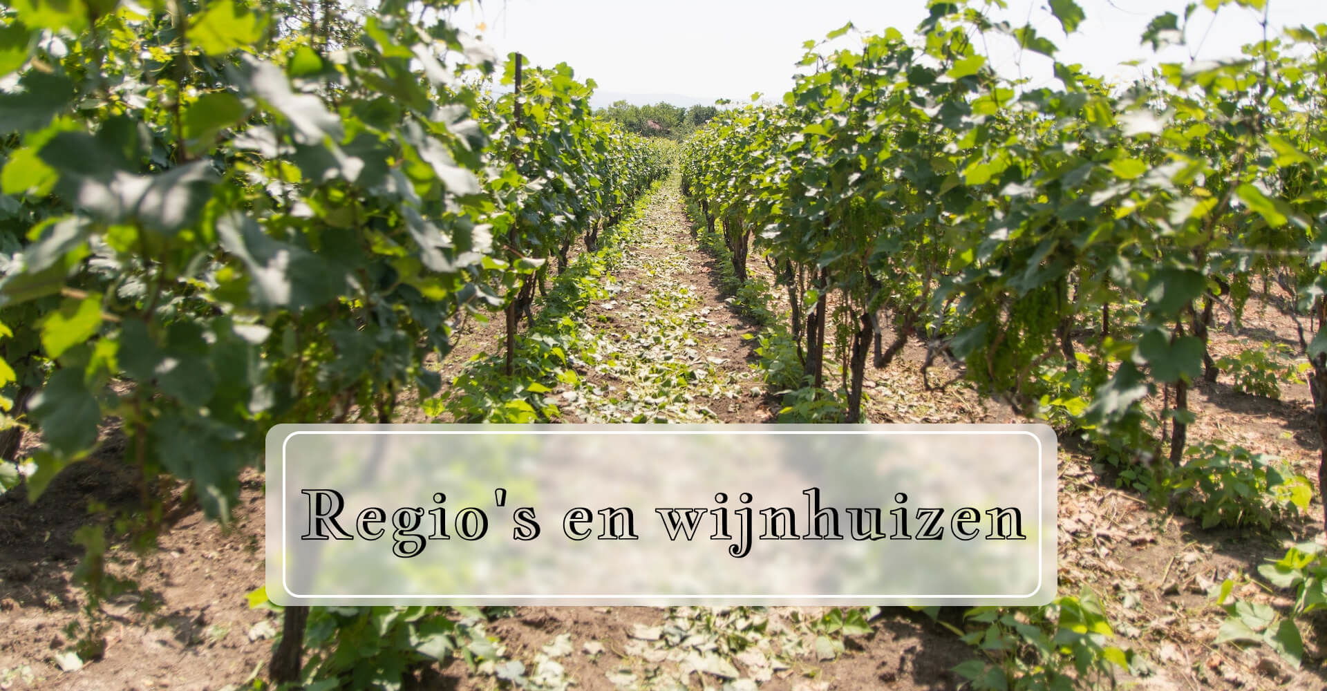 Regio's en wijnhuizen