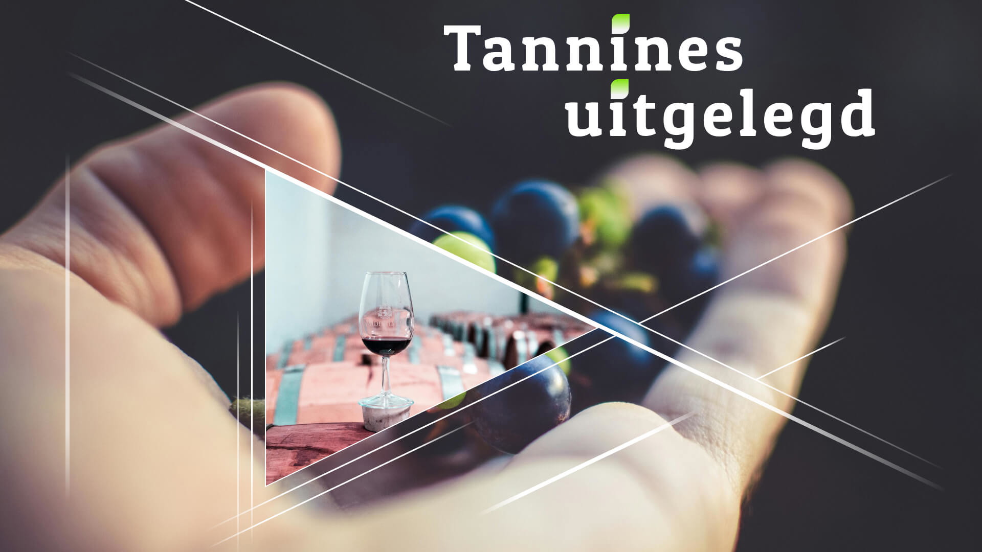 Tannines uitgelegd: Hoe ze je wijn beïnvloeden