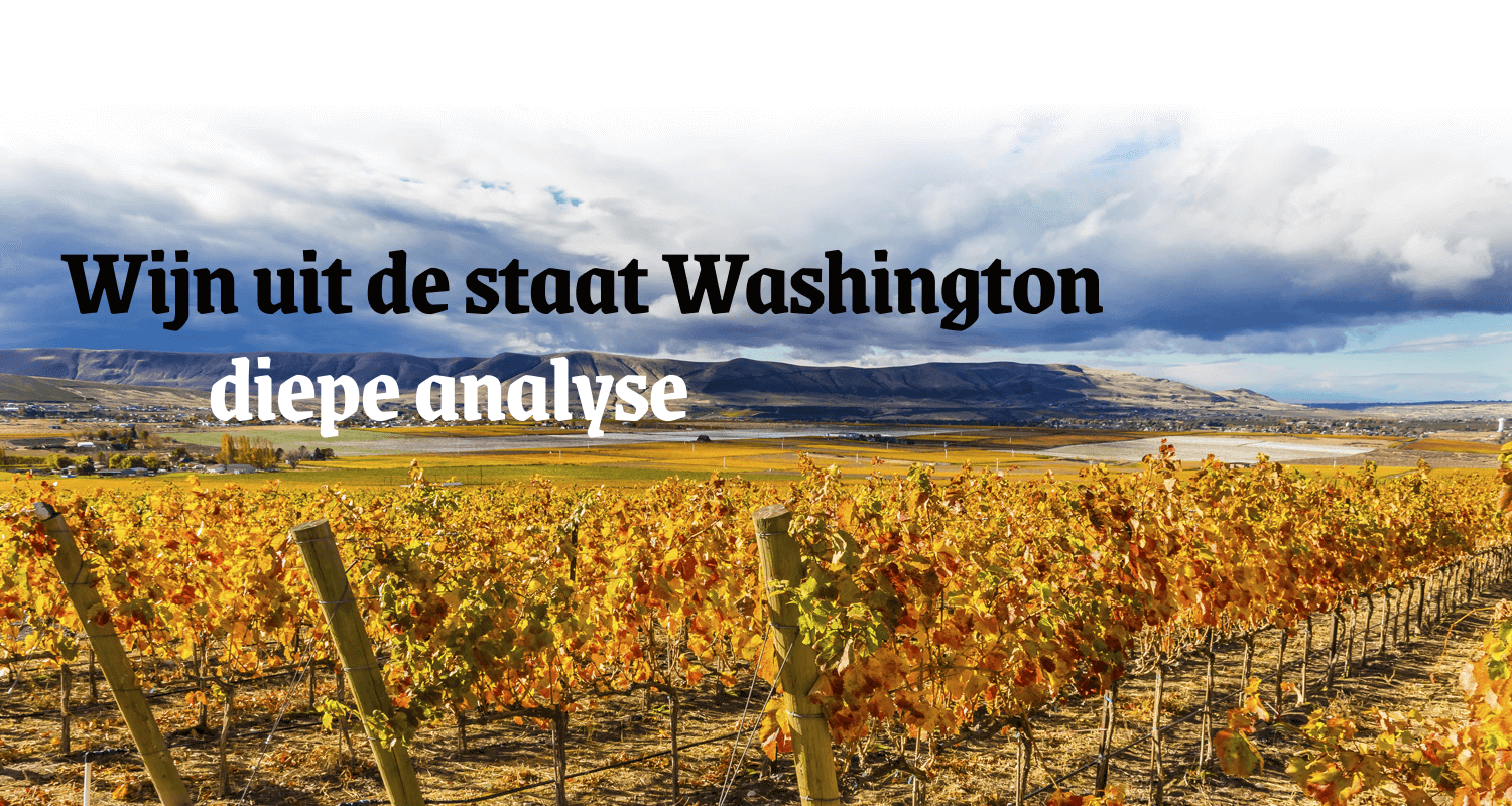 Wijn uit de staat Washington - diepe analyse