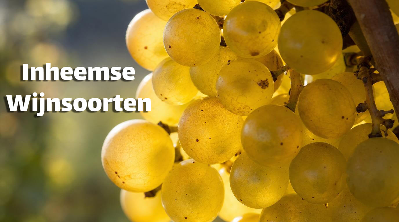 inheemse wijnsoorten